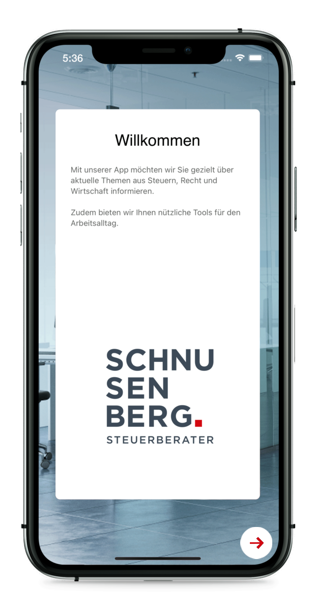 Steuerberater Schnusenberg App Mockup 617x1200
